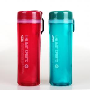 425 Double Wall Water Bottle 450 ML